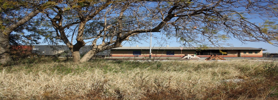 limpopo 361